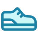 zapato icon