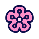 sakura icon