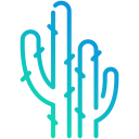 cactus icon