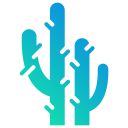 cactus icon