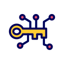 llave digital icon