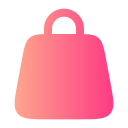 bolsa icon