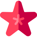 Estrella de mar icon