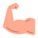 musculatura icon