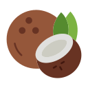 coco icon