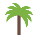 palmera icon