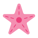 estrella de mar icon