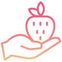 fresas icon