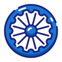 chakra ashoka icon