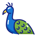 pavo real icon