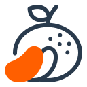 mandarina icon