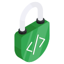 seguridad de codificación icon