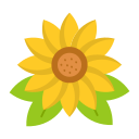 girasol icon