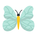 mariposa icon