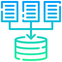 recopilación de datos icon