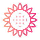 girasol icon