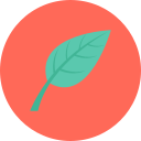 hoja icon