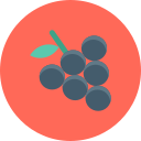 uvas icon