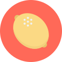 limón icon