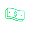 dinero icon