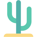 planta de cactus icon