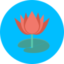 flor de primavera icon