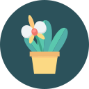 planta en crecimiento icon