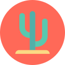 planta de cactus icon