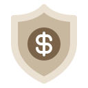 seguridad icon