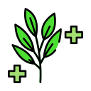 herbe icon