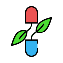 Herb 