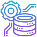 Proceso de datos icon