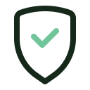 seguridad icon