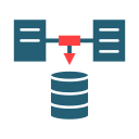 recopilación de datos icon