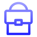 bolsa icon