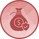 dinero seguro icon