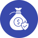 dinero seguro icon