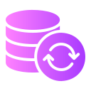 gestión de bases de datos icon