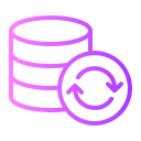 gestión de bases de datos icon