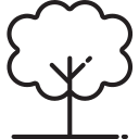 árbol icon