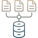 recopilación de datos icon