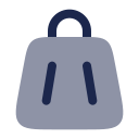 bolsa icon