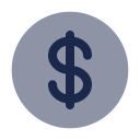 dólar icon