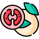 Mozzarella icon