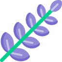 Lavanda 