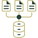 recopilación de datos icon