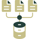 recopilación de datos icon