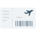 pasaporte icon