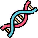 Dna