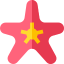 Estrella de mar